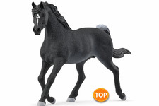 SCHLEICH Horse Club | Araber Hengst 13981 | detailgetreues Pferd 🐴
