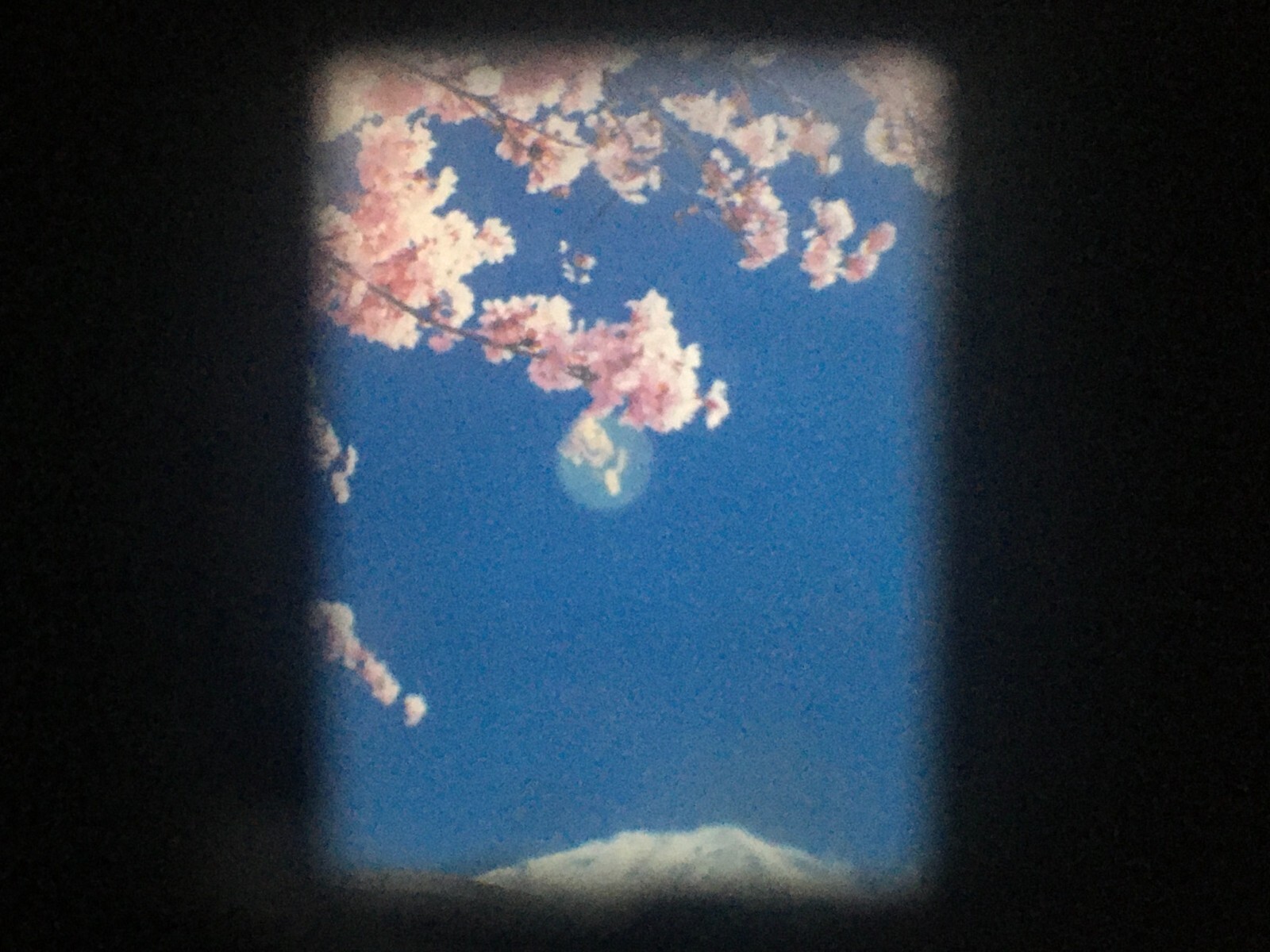 Picture 5 of 19