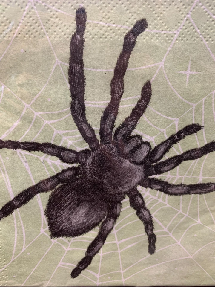 Halloween Hairy Spider Lunch Napkins 2 pack - 32 Napkins - Image 3 of 3