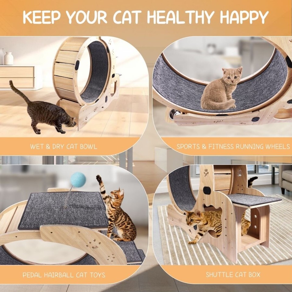 6in1 Cat Exercise Wheel Cat Walking Wheel Cat Furniture eBay