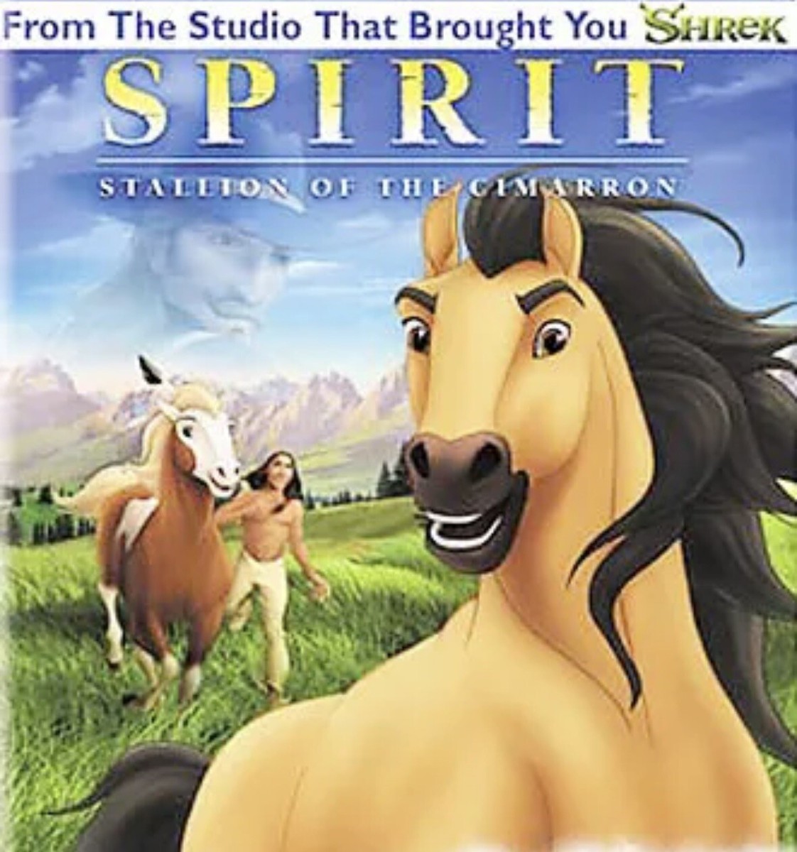 Spirit: Stallion of the Cimarron (DVD, 2002, Full Frame) | eBay