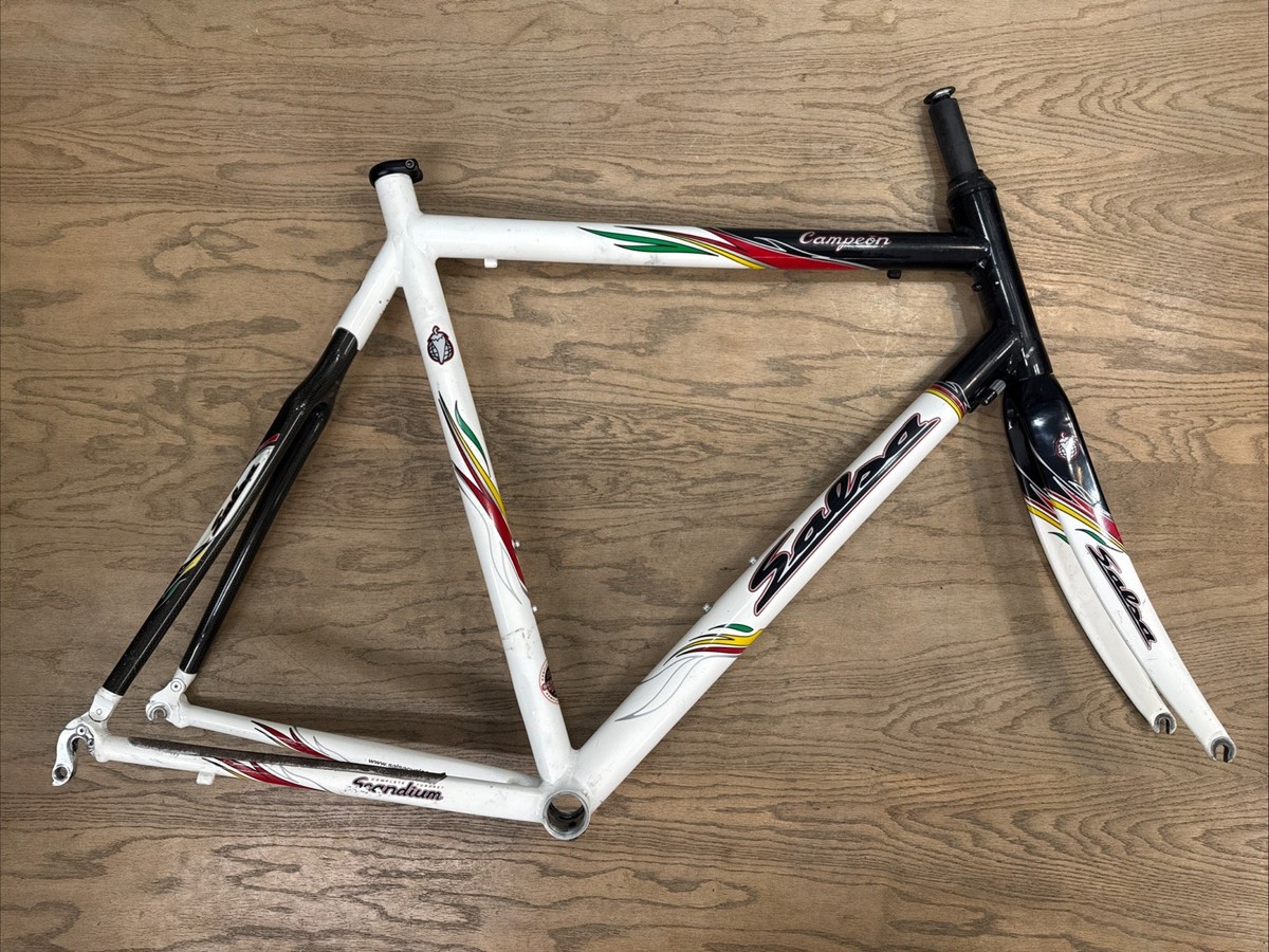 Salsa Campeon Scandium Road Bike Frameset Carbon Stays 58cm Large