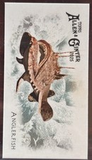 2025 Topps Allen & Ginter #FGW-8 Anglerfish Mini 50 Fishes from Global Waters