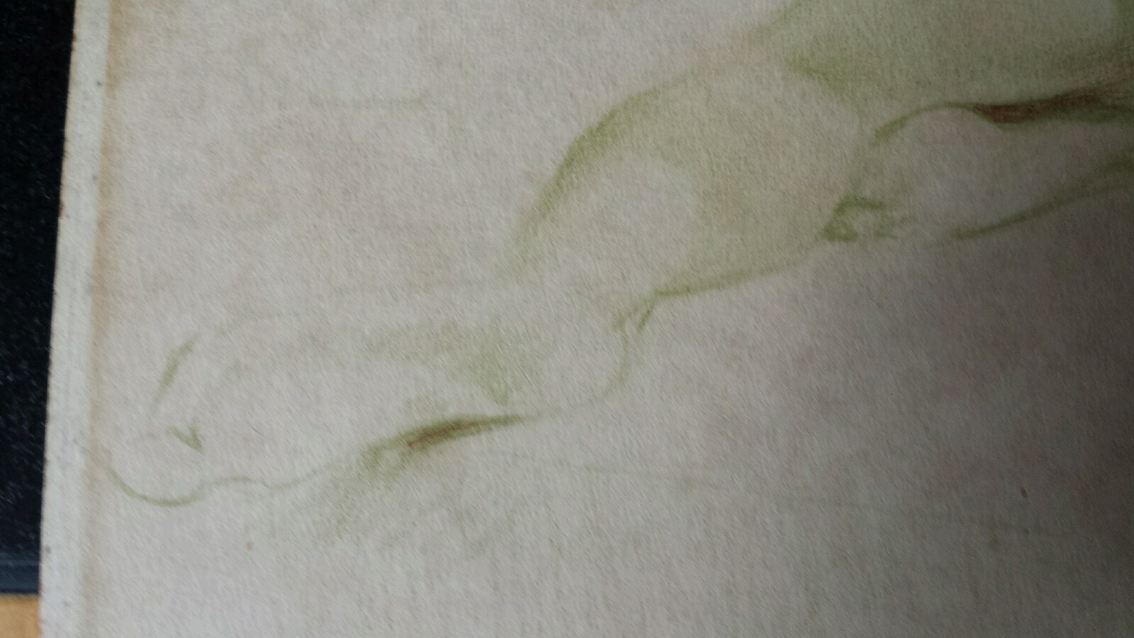 Picture 5 of 8