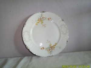 R. C. Tilly Germany 10-Inch Porcelain Decorative Plate