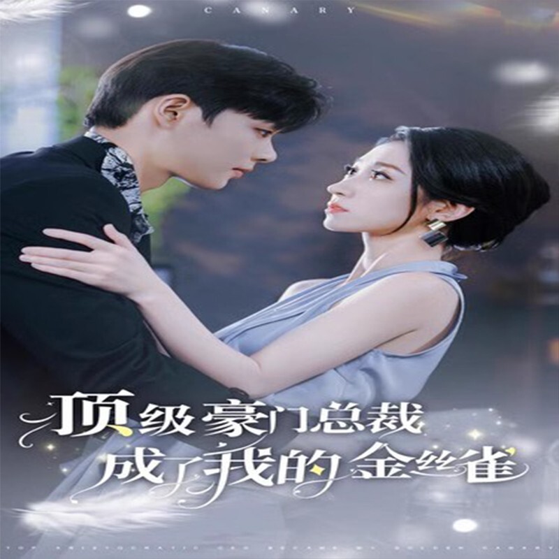 新品未開封 恋するシャンソン DVD Chinese Drama jin si que Chinese Sub 顶级豪门总裁成了我的金