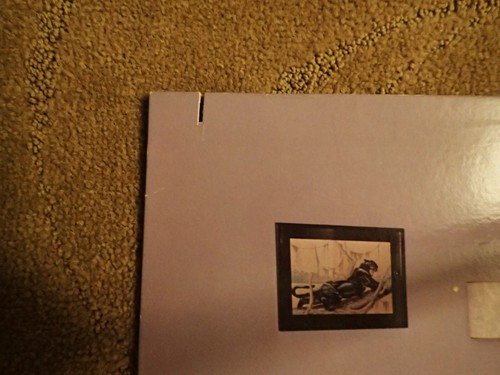 ELTON JOHN-THE FOX-LP-VG-GEFFEN RECORDS-INNER LYRICS SLEEVE - Imagen 2 de 5