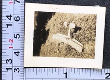Tiny Picture of Biplane Plane Models Kits Toys Vintage BW Photo Snapshot #2