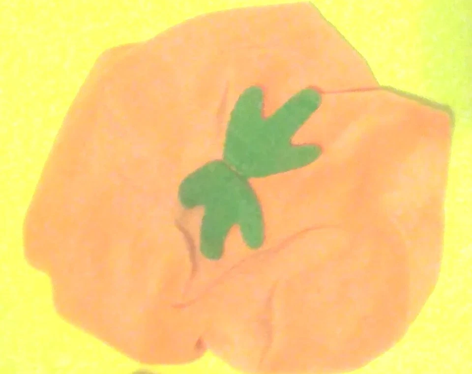 Bebé Niña o Niño Recién Nacido Halloween Calabaza Disfraz Conjunto con Sombrero y Zapatos 12 Meses Foto 4 de 4