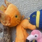 Picture 4 of 6