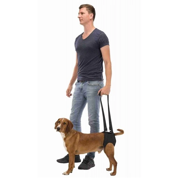 Trixie Dog Walking Support Aid for Dogs Body - Stairs Car Illness Paralysis Help - Image 3 of 4