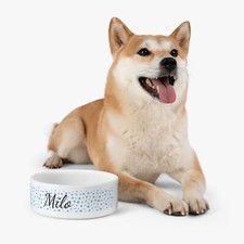 Personalized Ceramic Pet Bowl Custom Design, Microwave Dishwasher Safe, 16oz