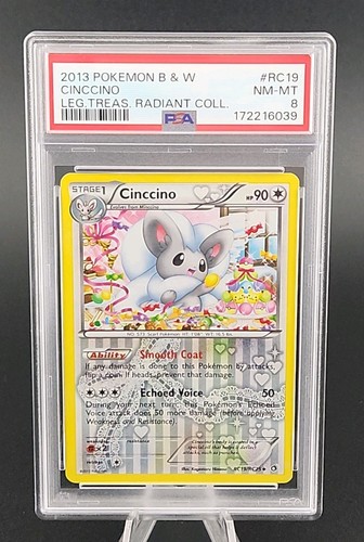 Cinccino graded PSA 8 for sale on eBay