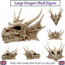 Large Horned Dragon Skull Ornament Fantasy Resin Figurine High Quality Gift New