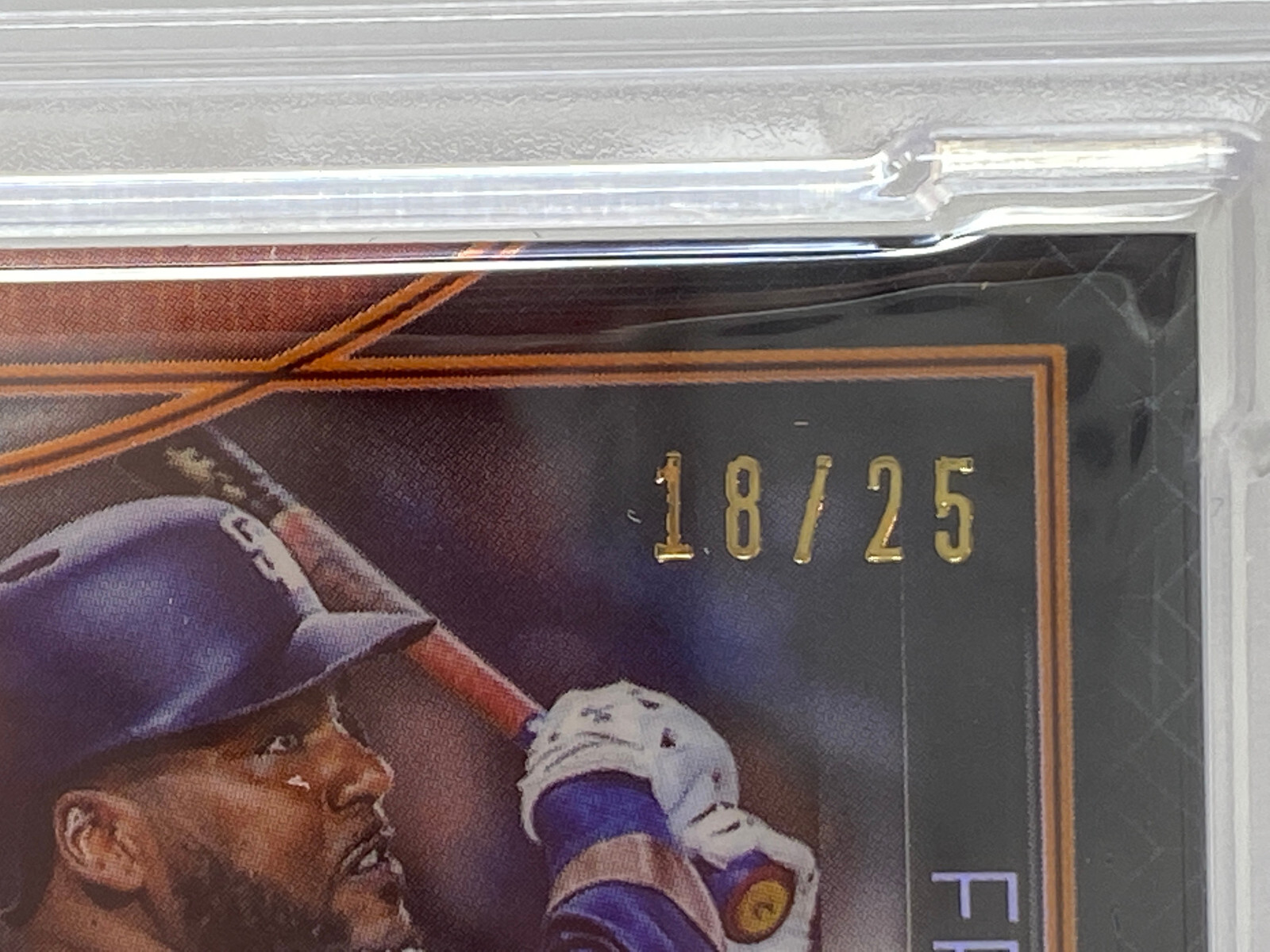 2020 Topps Tribute Dual Relic ORANGE Serial #18/25  Fernando Tatis Jr. PSA 8 view 8
