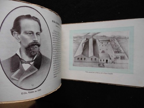 Recuerdo de Montevideo (c1910) Uruguay, Uruguayan Capital View Book, Illustrated - Picture 4 of 22