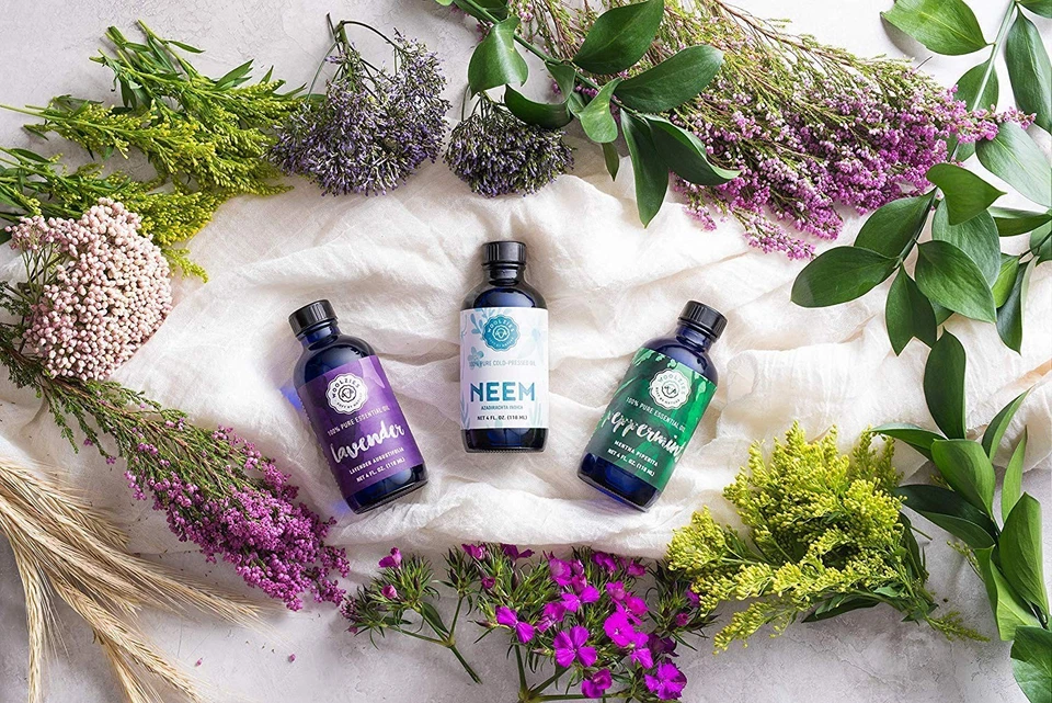 Woolzies Lavender Essential Oil - Aromatherapy Essential Oils for Diffuser and - Image 4 of 4