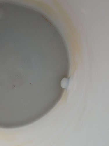 Prominent Serbatoio Stazione Pompa 12 Gal | Trattamento Chimico Acqua Idroponica - Foto 5 di 7