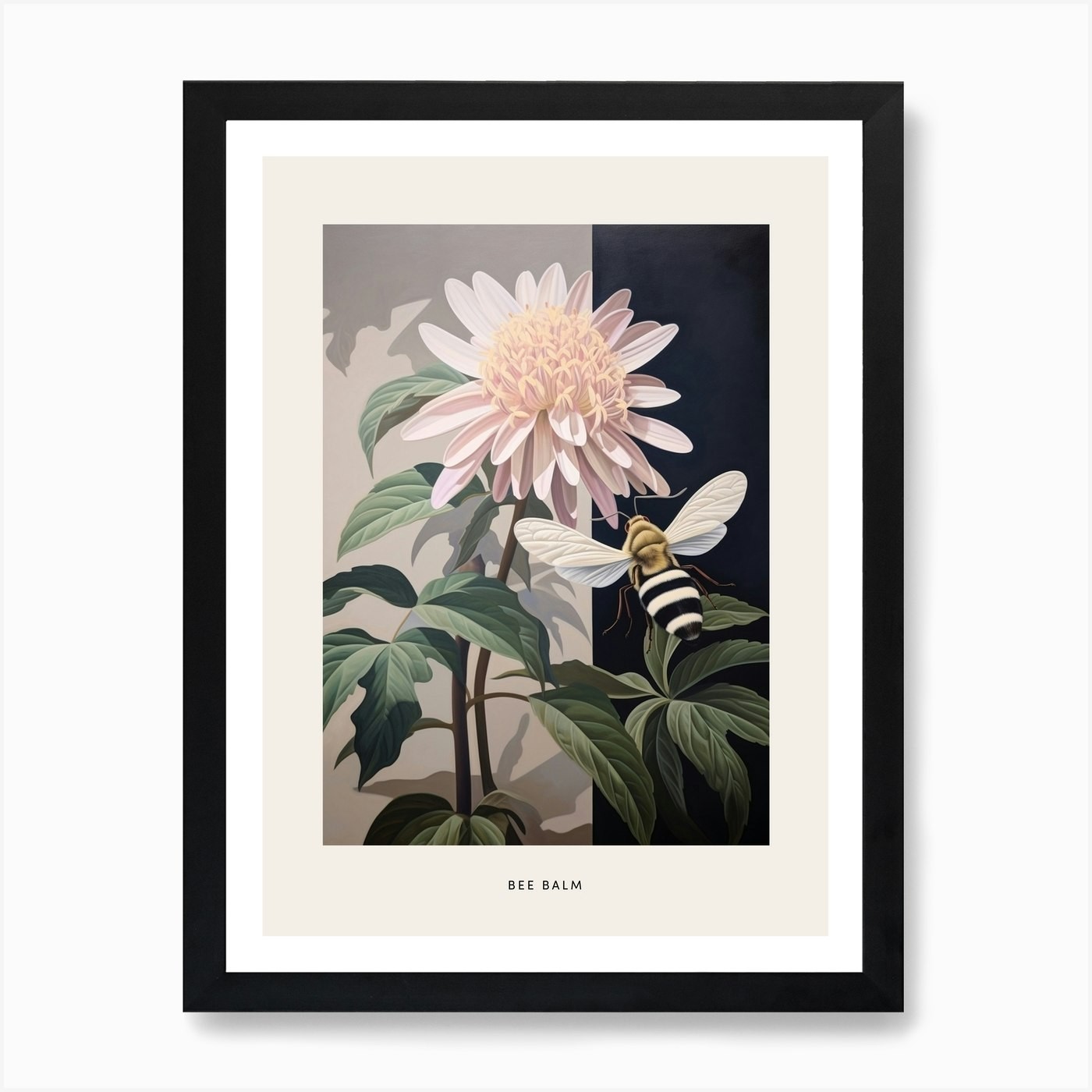 Framed Bee Balm Flower Illustration Wall Art Canvas Print Poster  