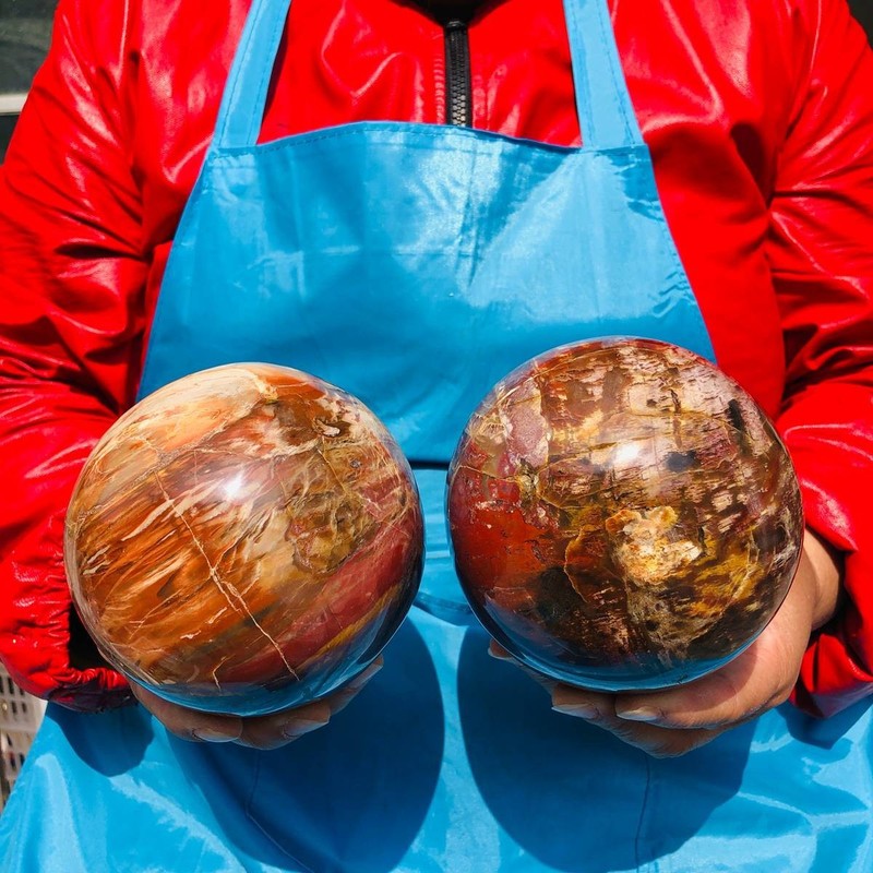 2PCS 6.82 LB Natural Petrified Wood Agate Sphere Crystal Healing Specimen 4093