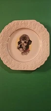 Vintage Lord Nelson Pottery Plate.  Never Used. Over 50 Years Old .  Poodle