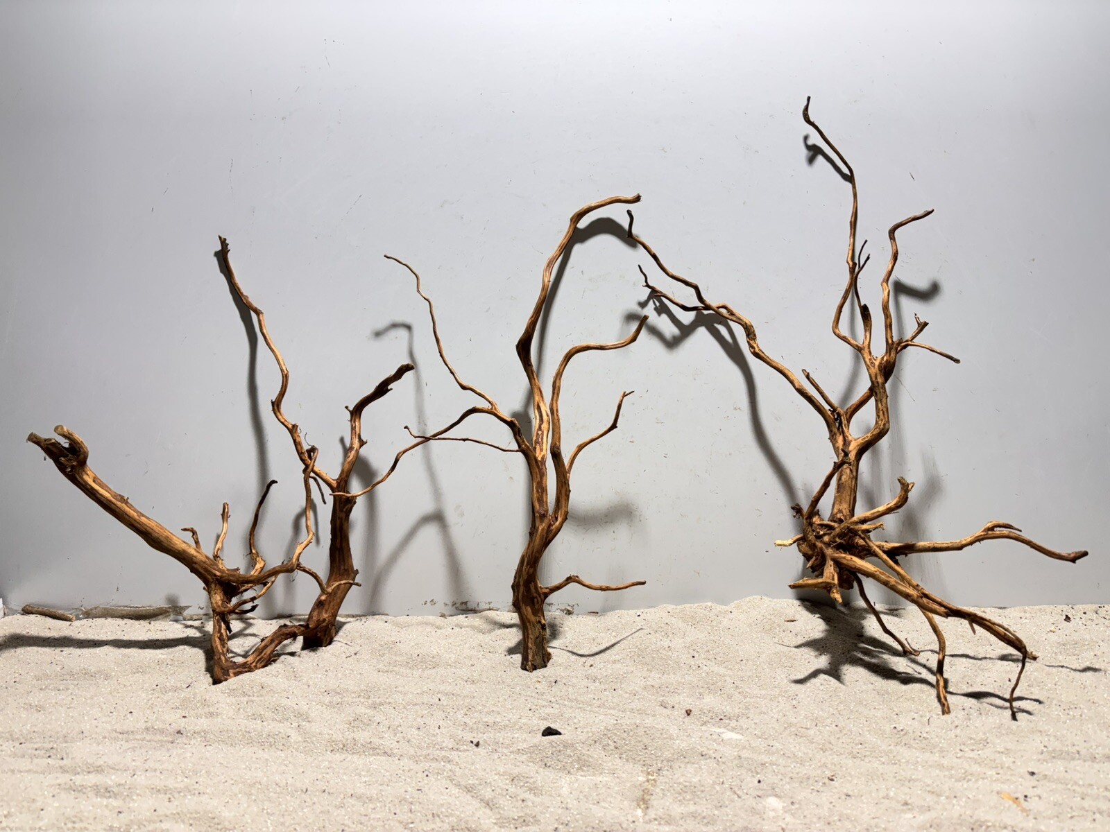 Asiatische Moorwurzel Aquariumwurzel ähnlich Mangrove #874 3 Stück SET Größe XL