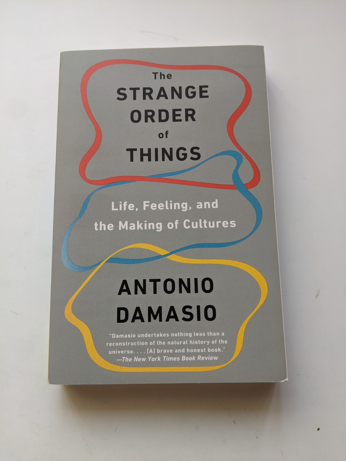 The Strange Order Of Things Life Feeling and the Making of Cultures