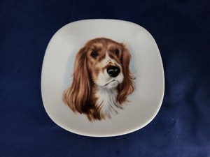 Vintage Bavaria Welsh Springer Spaniel Trinket Dish Plate
