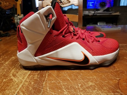 ebay lebron shoes