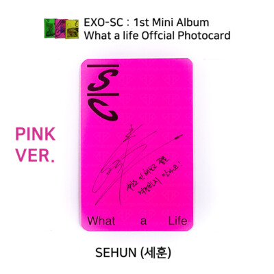 EXO チャニョル　トレカ　what a life スマホケース EXO SC SEHUN CHANYEOL 1st mini album What a life Official