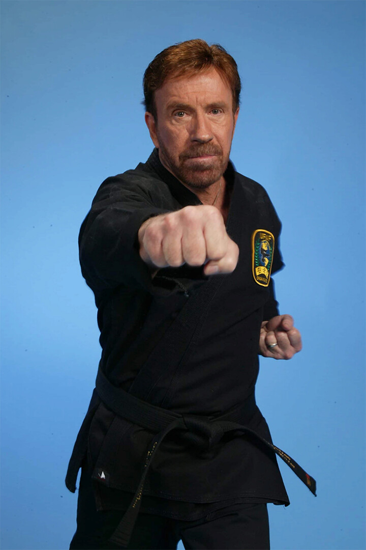 Chuck Norris 80's 90's Martial Arts Master Actor Wall Art Home