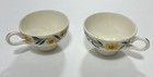2 Vtg Homer Laughlin China Tea Cups Yellow Daisy Pattern Rare Discontinued