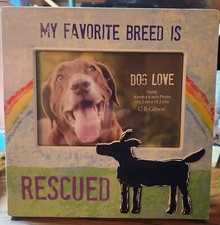 SALE My Favorite Breed is RESCUED  Cute Picture Frame for DOG 4"x6"