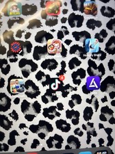 iPad With TikTok