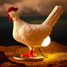 Upgraded 3D Resin Chicken Egg Night Light with USB, Lifelike LED Egg Lamp with C