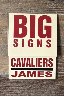 2003-04 Fleer Platinum - Big Signs LeBron James #7 BS (RC)