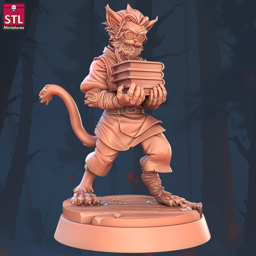 Juego de libros y tomos de miniaturas STL impresos en 3D 28 - 32 mm juegos de guerra D&D - Imagen 9 de 17