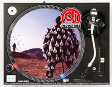 Pink Floyd Delicate Sound of Thunder- 7"-12" DJ slipmat for LP turntable player