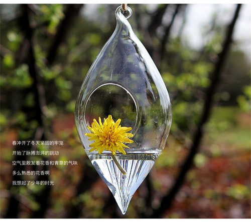10pcs Teardrop Glass Terrarium Hanging Vase Wall Mounted Flower Vase Home Garden - Picture 3 of 7