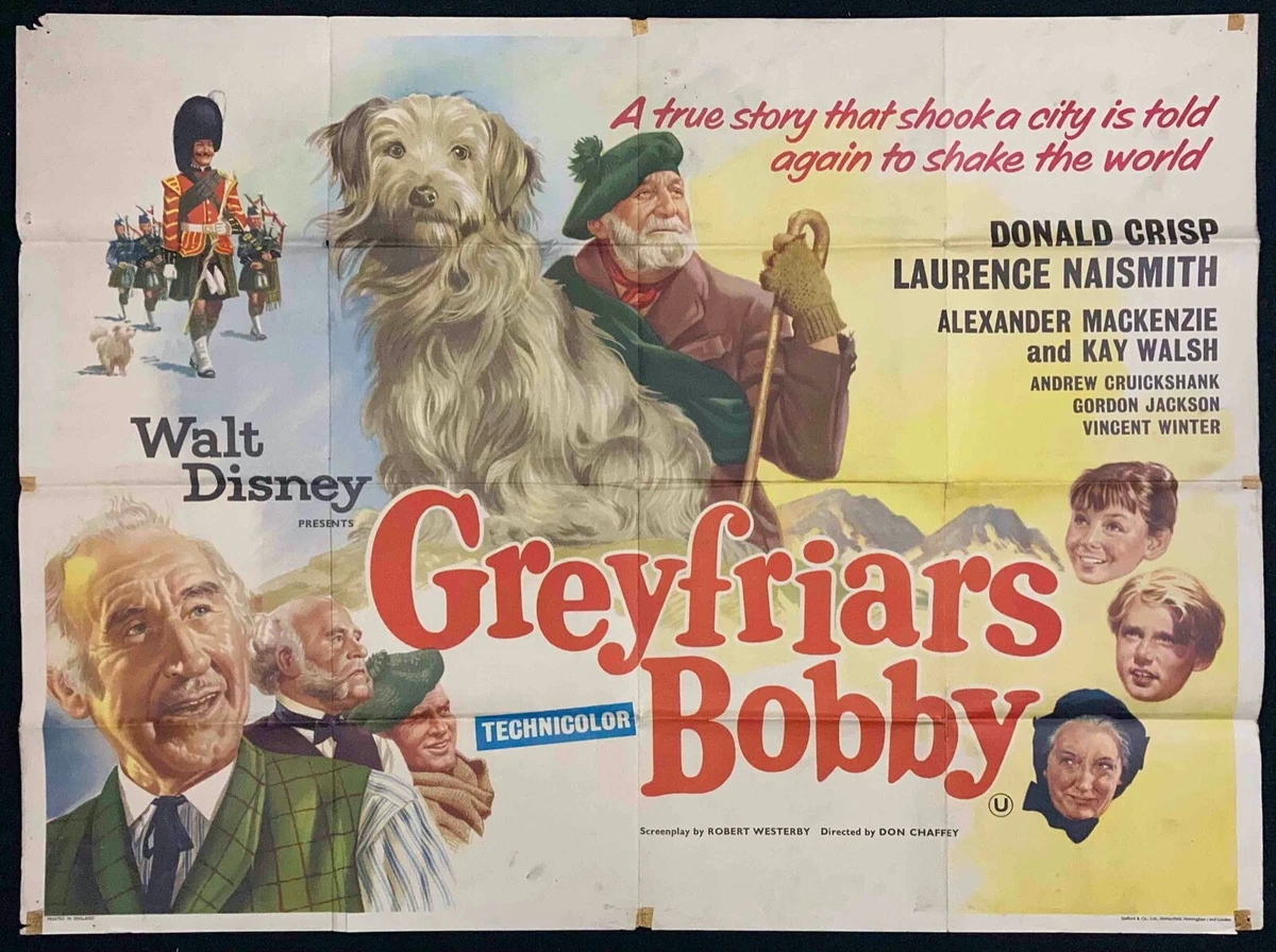 Greyfriars bobby best sale disney