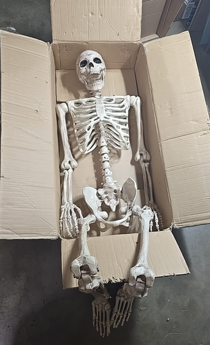 GRANDIN ROAD 5ft Skeleton Halloween - Picture 3 of 7