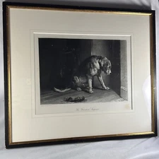 Edwin Landseer Friend In Suspense Antique Engraving Print 1886 Framed 16 X 18”
