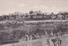 ARDEA - Panorama