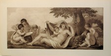Fine Art Print  Putti Cupid Cheubs cornucopia of nature Edizioni Grafiche Guten