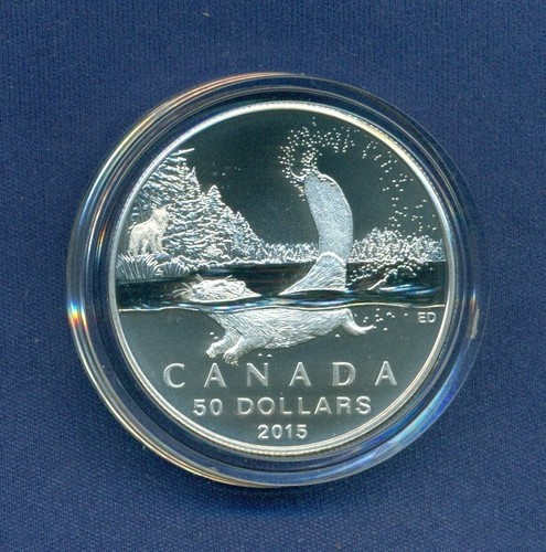 2015 MINT $ 50 DOLLARS MATTE PROOF FINE SILVER COIN – BEAVER - & CAO - Picture 4 of 6