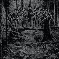Wolves In The Throne - 2005 Demo - Cd - G1398Z