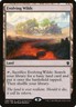 Evolving Wilds [Tarkir Dragonfury] Magic MTG