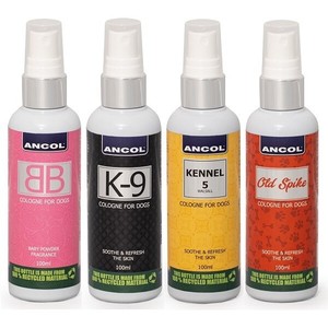 kennel 5 dog cologne