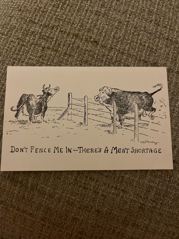 Vtg Postcard Humor Native American Indian Artist Wm Standing Cow Meat Shortage