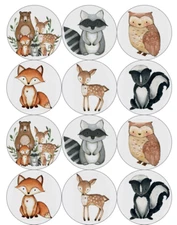 12 cute woodland animals, baby shower edible paper, cupcake cookie toppers